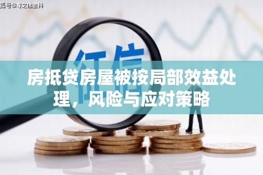 永春房抵贷房屋被按局部效益处理，风险与应对策略
